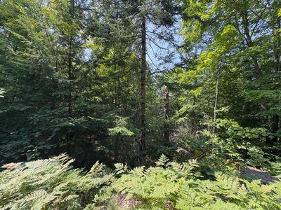 Lot 4 Meadow Road, Casco, ME, 04015