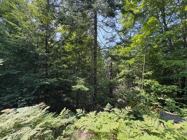 Lot 4 Meadow Road, Casco, ME 04015
