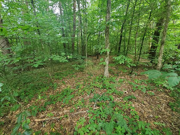 4th image of LOT 18 Pine Ln