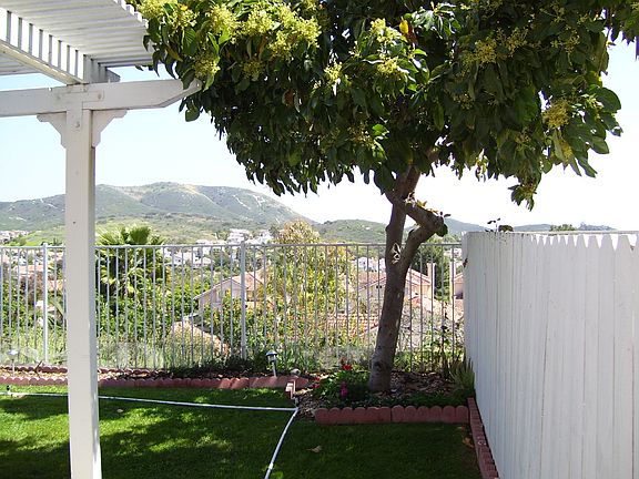 back yard