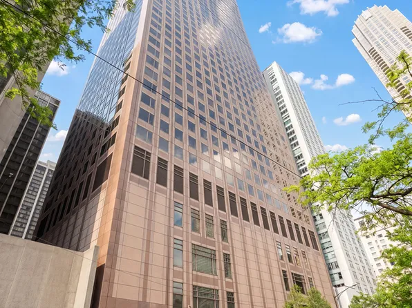161 E Chicago Ave #33B, Chicago, IL 60611