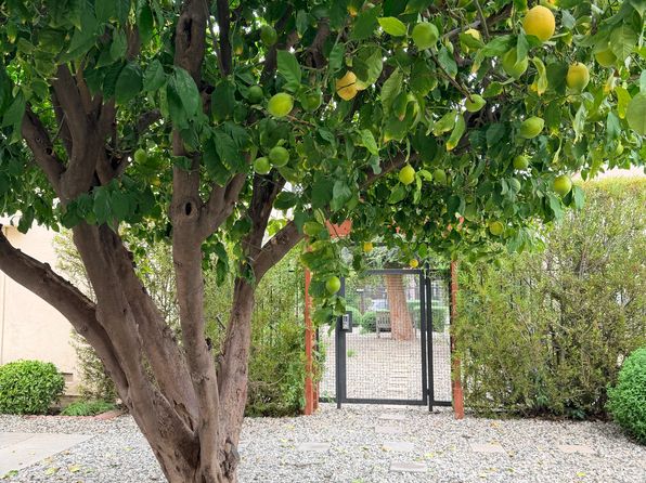 4319 1/2 Cahuenga Blvd #1