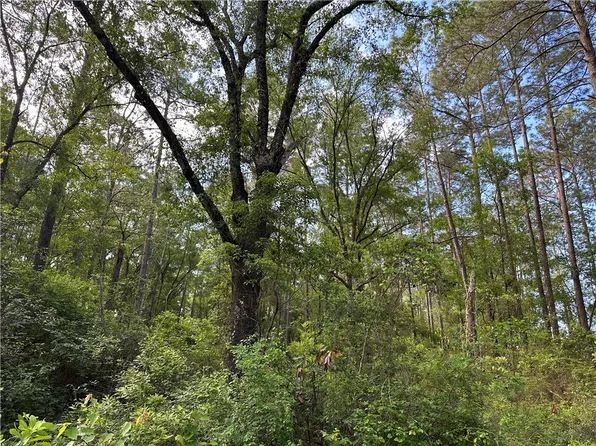 3 Crescent Loop, Blackshear, GA 31516