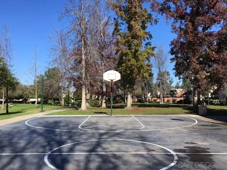 Basketball court