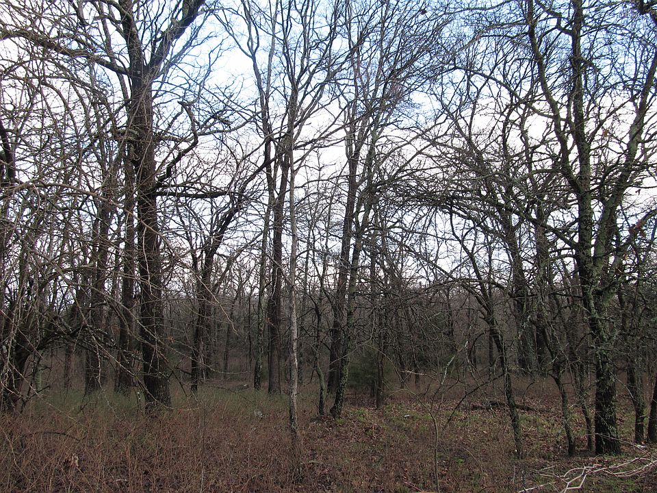 2nd image of S Converse Rd