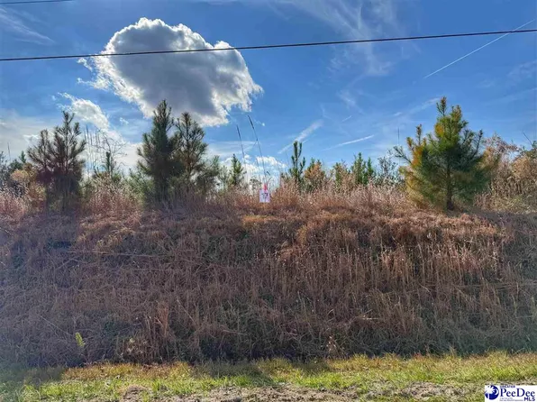 LOT 17 E Academy St, Dillon, SC 29536