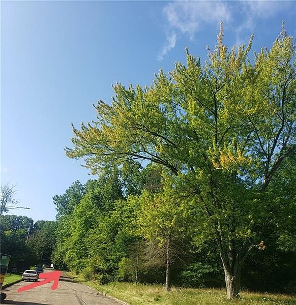 0 Shady Ave, Hermitage, PA 16148 MLS 1620824 Zillow