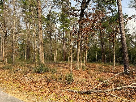 3rd image of 195 Walnut Cir