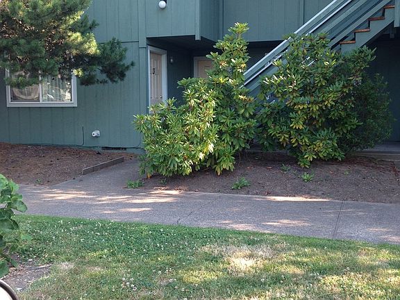 5th image of 855 SW Washington Ave APT 4