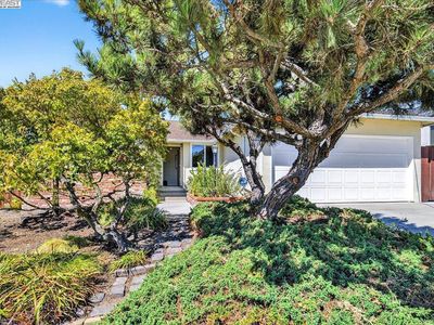 4028 Meadowview Dr, Castro Valley, CA, 94546