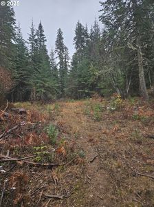 78654 Basket Mountain Rd, Weston, OR, 97886