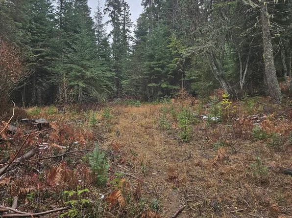 78654 Basket Mountain Rd, Weston, OR 97886