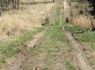 16397 Hog Creek Rd, Houston, MO 65483