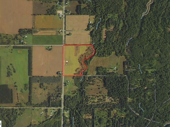 10350 30th Ave, Evart, MI 49631