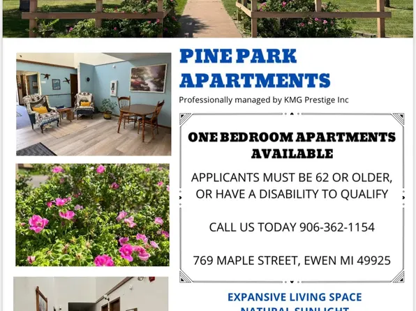 769 W Maple St, Ewen, MI 49925