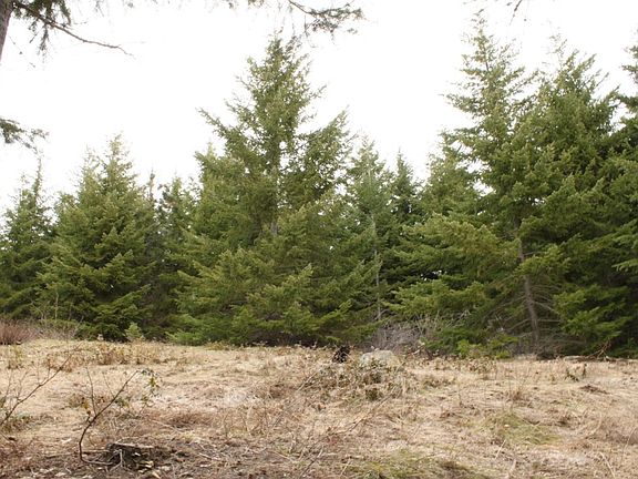 Possible building site.