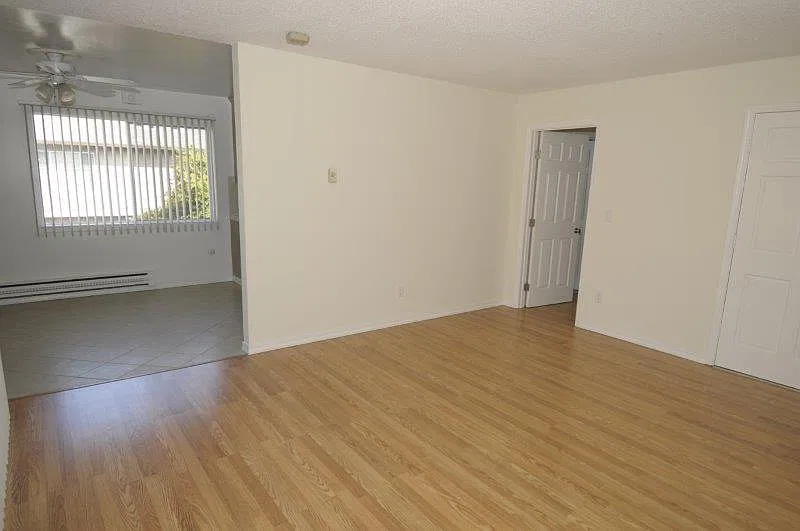 1 bed, 695 sqft, $2,395 — Photo 3