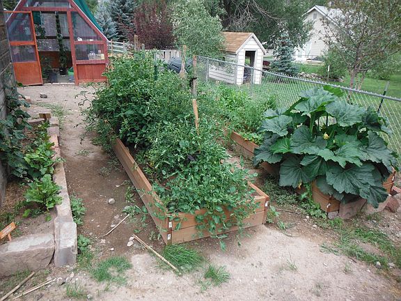 raised garden beds