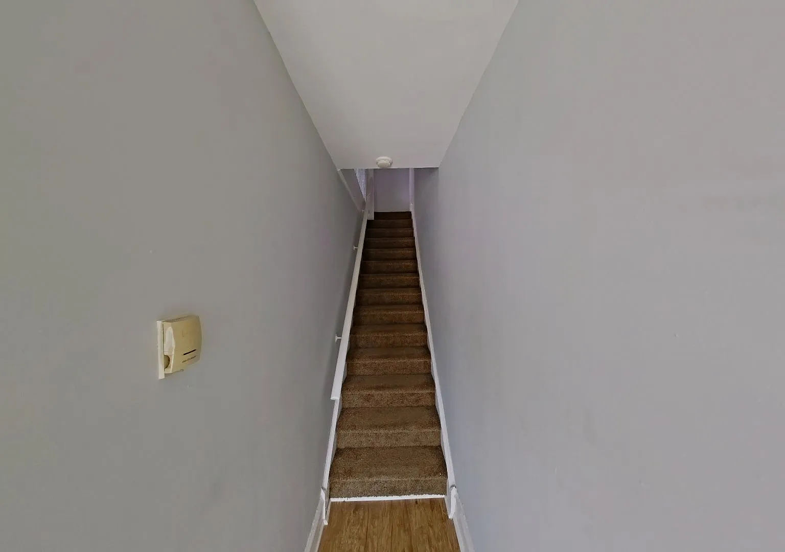 1602 E Duval Street — Photo 2