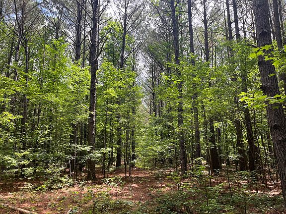 3rd image of 0 Sandcut Rd