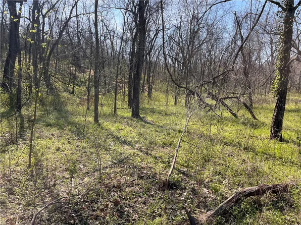 10 Wey Ln, Bella Vista, AR 72714