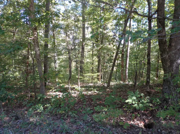 1030 Bucksnort Rd, Only, TN 37140