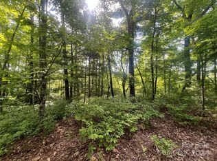 0 Laurel Thicket, Brevard, NC 28712