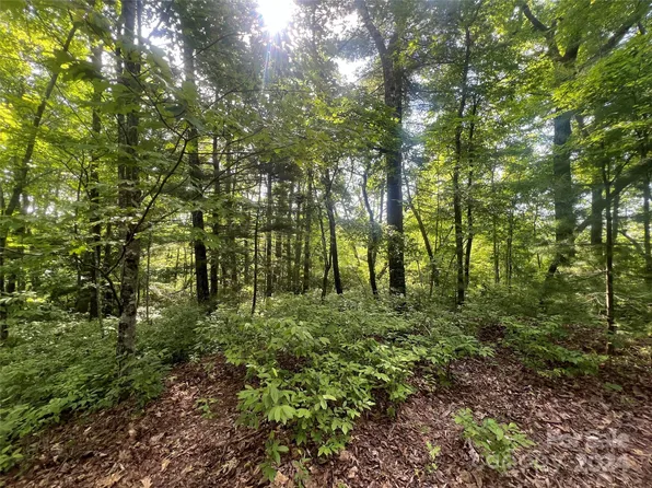 0 Laurel Thicket, Brevard, NC 28712