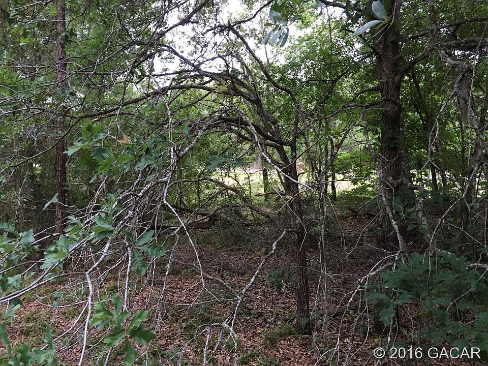 2nd image of 0 SE State Road 121 Rd