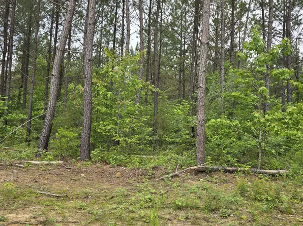 12 Holly Woods, Robbins, TN 37852