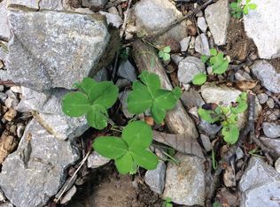 8720 Baker Mountain Rd, Spencer, TN 38585