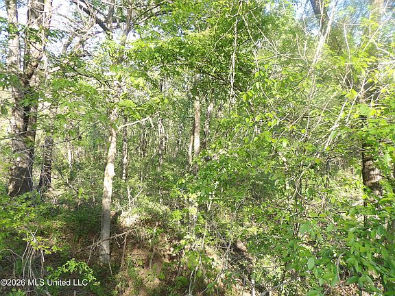 3rd image of 4269 Laws Hill Rd