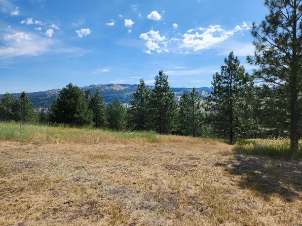 4 Meadow Lark Ln, Republic, WA 99166
