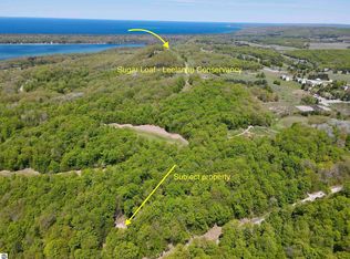 1801 E Old Mountain Rd, Cedar, MI 49621