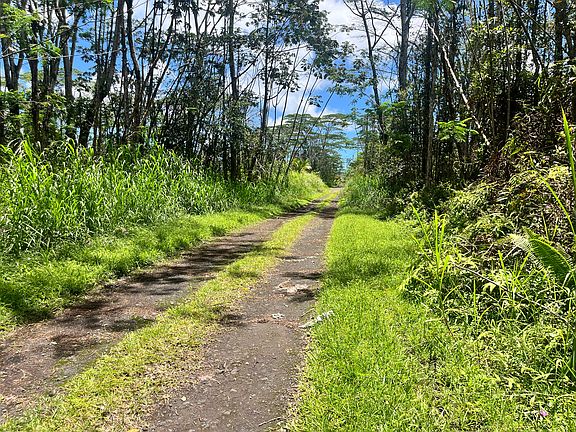 2nd image of Pikake Rd