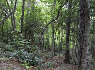 17 & 18 Sunnyside Shores Rd, Hiawassee, GA 30546