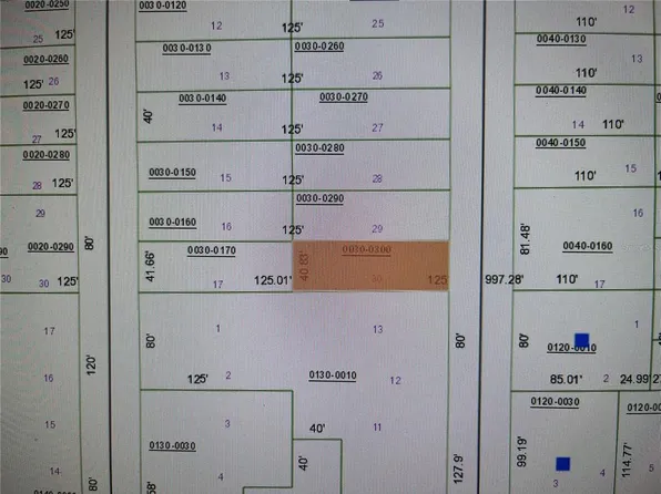 SW 57th Ave Lot 30, Interlachen, FL 32148