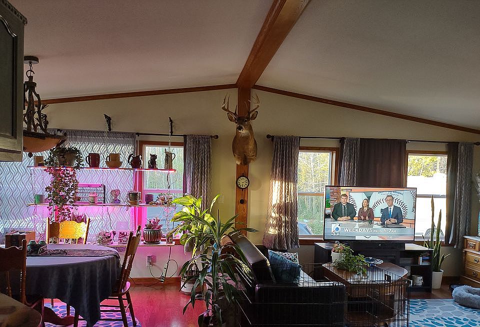 Living/Dining Rooms