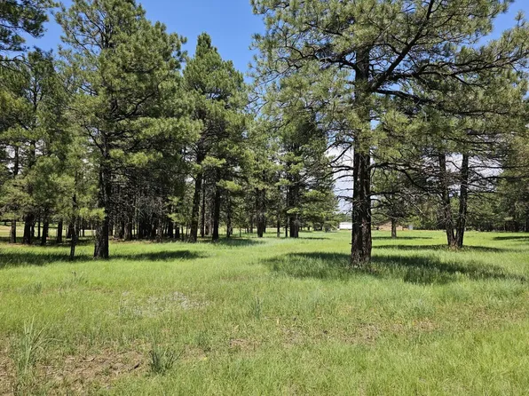 1-13 Happy Jack Long Valley, Happy Jack, AZ 86024