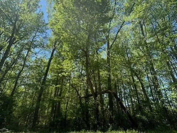 0 Hamlets Chapel Rd, Pittsboro, NC 27312