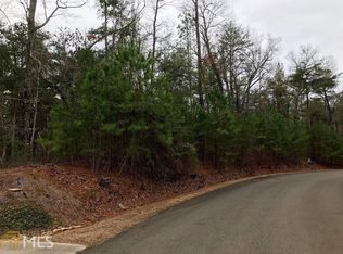 0 Morgan Trail Lt #13, Ellijay, GA 30540