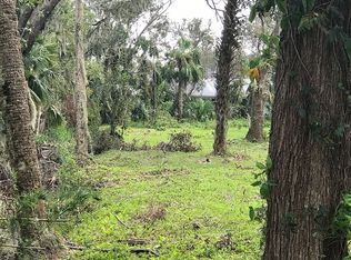 820 Downing St, New Smyrna Beach, FL 32168