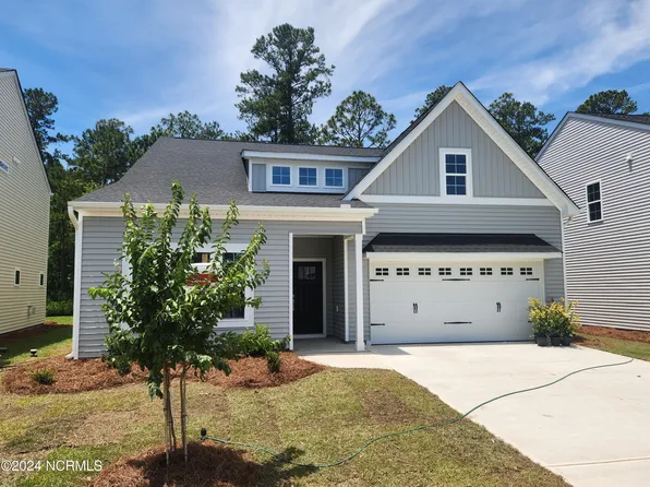 2377 Flowery Branch Drive Lot 230, Castle Hayne, NC 28429