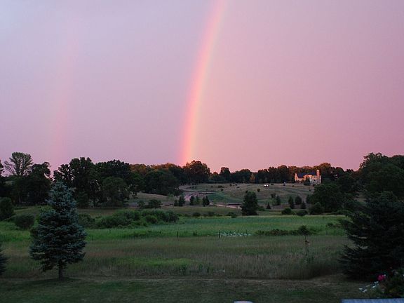 view from back deck