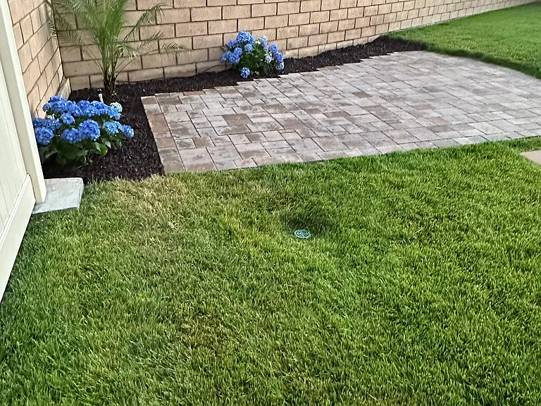 36594 Camino Springs Ave — Photo 70
