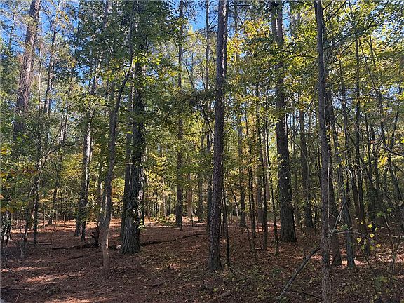 5th image of TRACT E Four George Bryant Rd