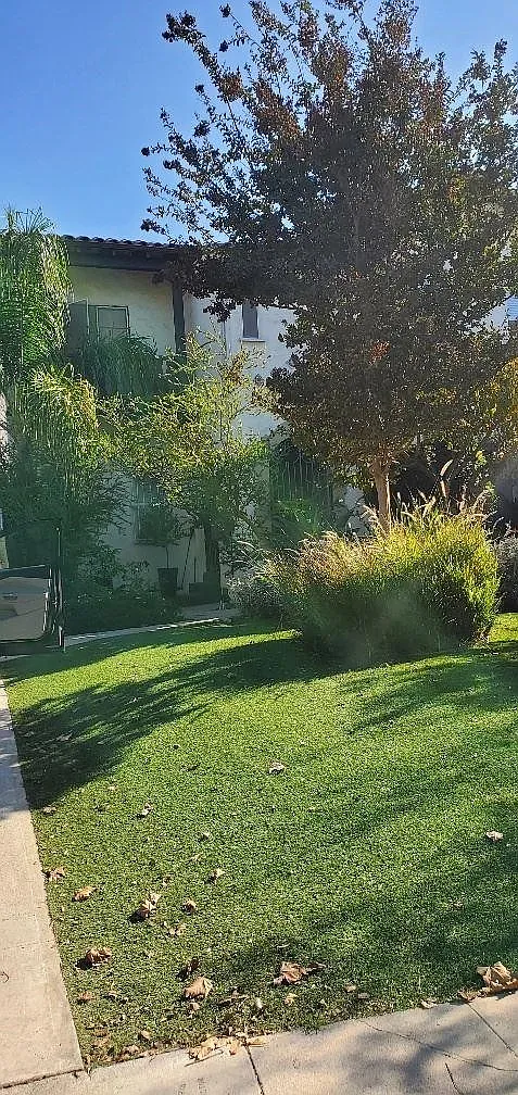 1 bed, 1.0 bath, 650 sqft, $1,795 — Photo 2