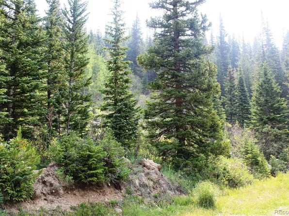 01 Miners Road LOT 31, Idaho Springs, CO 80461