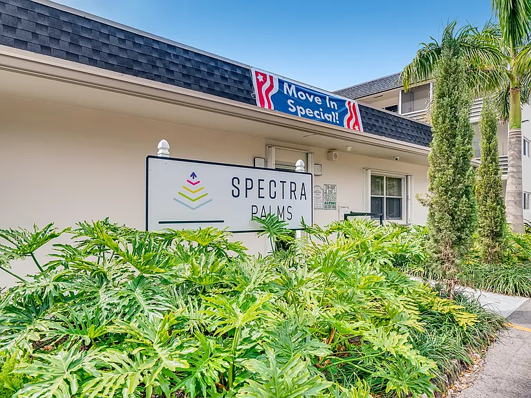 Spectra Palms — Photo 19