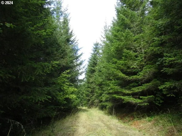 0 Bellinger Scale Rd, Lebanon, OR 97355